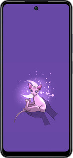 Силиконовый чехол Кот2 для Infinix Smart 8 Plus - 4676u-3677 изображение 