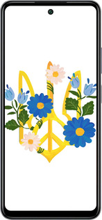 Силиконовый чехол Герб v3 для Infinix Smart 8 Plus - 5265u-3677 изображение 