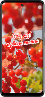 Силиконовый чехол Калина для Infinix Smart 8 Plus - 5454u-3677 изображение 
