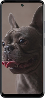 Силіконовий чехол Милий бульдог для Infinix Smart 8 Plus - 5546u-3677 изображение 