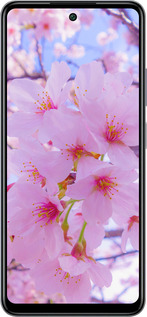 Силиконовый чехол Сакура для Infinix Smart 8 Plus - 6029u-3677 изображение 