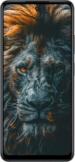 Силиконовый чехол Лев в сумерках для Infinix Smart 8 Plus - 6154u-3677 изображение 