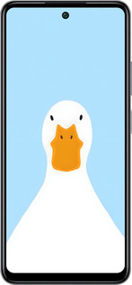 Силиконовый чехол Гусь для Infinix Smart 8 Plus - 6350u-3677 изображение 