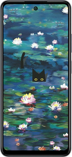 Силиконовый чехол Чехол с изображением водяных лилий Моне и кошек для Infinix Smart 8 Plus - 6399u-3677 изображение 