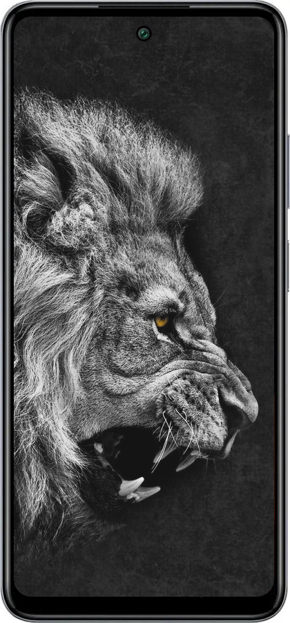 Силиконовый чехол Лев для Infinix Smart 8 Plus - 1080u-3677 изображение 