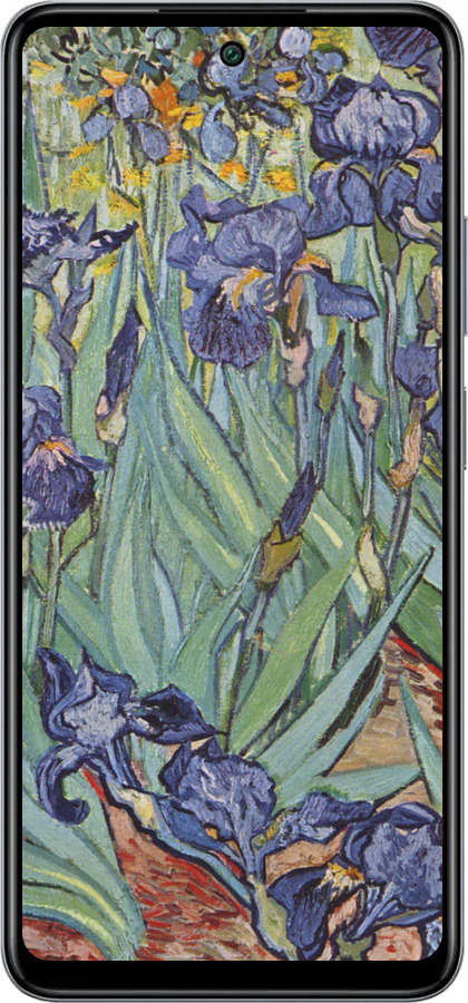 Силиконовый чехол Винсент Ван Гог. Ирисы для Infinix Smart 8 Plus - 161u-3677 изображение 