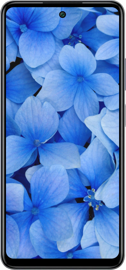 Силіконовий чехол Сині квіти для Infinix Smart 8 Plus - 526u-3677 изображение 