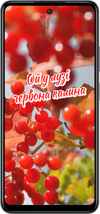 Силиконовый чехол Калина для Infinix Smart 8 Plus - 5454u-3677 изображение 