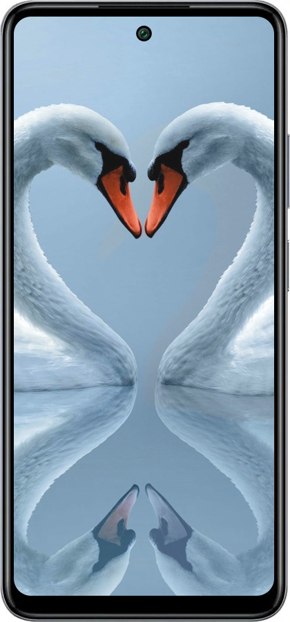 Силиконовый чехол Лебеди для Infinix Smart 8 Plus - 6007u-3677 изображение 