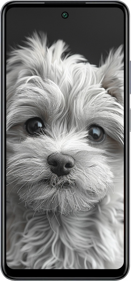 Силиконовый чехол Мальтипу на чорном фоне для Infinix Smart 8 Plus - 6156u-3677 изображение 