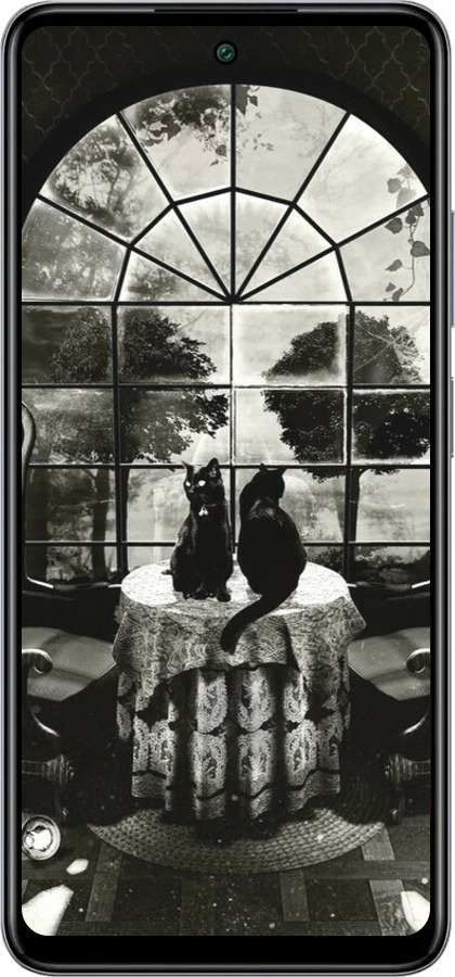 Силиконовый чехол Череп и коты для Infinix Smart 8 Plus - 6432u-3677 изображение 