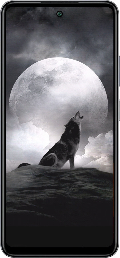 Силіконовий чехол Вовк, що виє для Infinix Smart 8 Plus - 934u-3677 изображение 