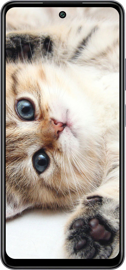 TPU чехол Котик для Tecno Spark 20c BG7n - 6024b-3627 изображение 