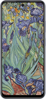 TPU чехол Винсент Ван Гог. Ирисы для Infinix Smart 9 - 161b-3809 изображение 