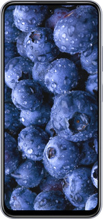 TPU чехол Голубика для Infinix Smart 9 - 4459b-3809 изображение 