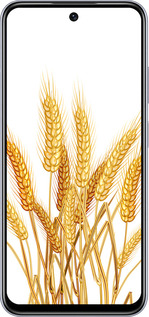 TPU чехол Колоски пшеници для Infinix Smart 9 - 5866b-3809 изображение 