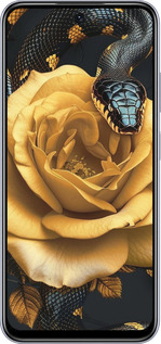TPU чехол Black snake and golden rose для Infinix Smart 9 - 6068b-3809 изображение 