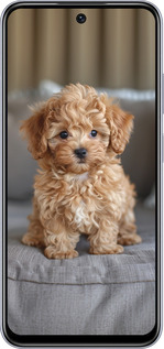 TPU чехол Mini-maltipoo для Infinix Smart 9 - 6158b-3809 изображение 