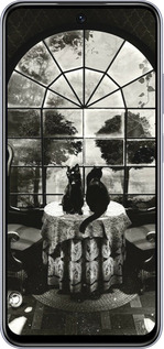 TPU чехол Череп и коты для Infinix Smart 9 - 6432b-3809 изображение 