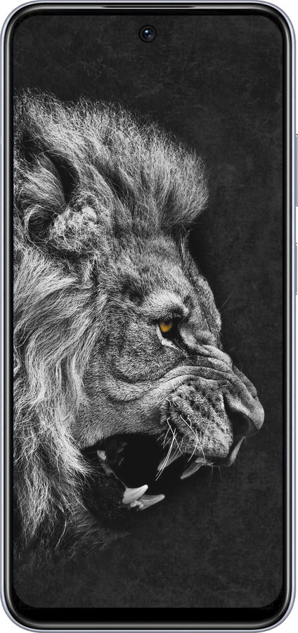 TPU чехол Лев для Infinix Smart 9 - 1080b-3809 изображение 