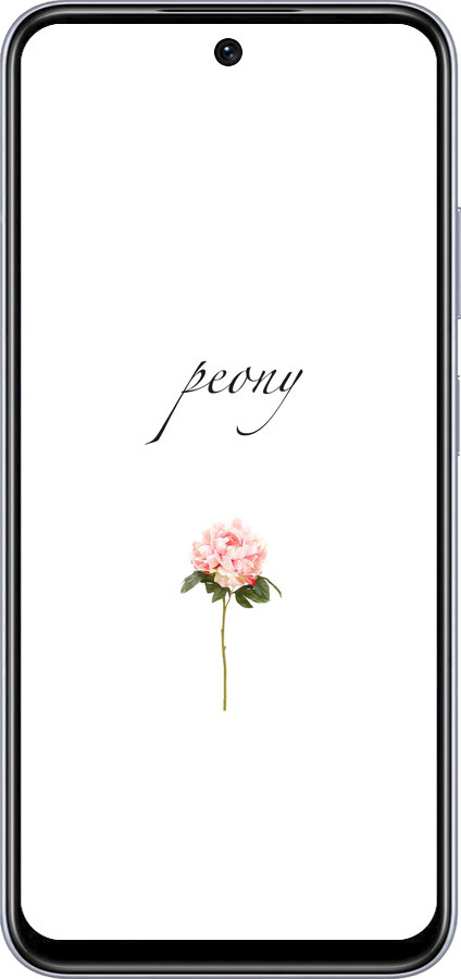 TPU чехол Пион для Infinix Smart 9 - 4366b-3809 изображение 