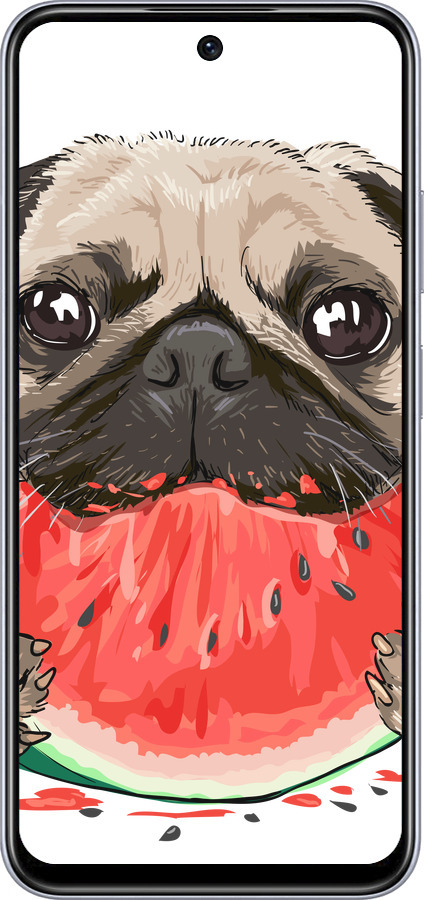 TPU чехол Мопс и арбуз для Infinix Smart 9 - 4665b-3809 изображение 