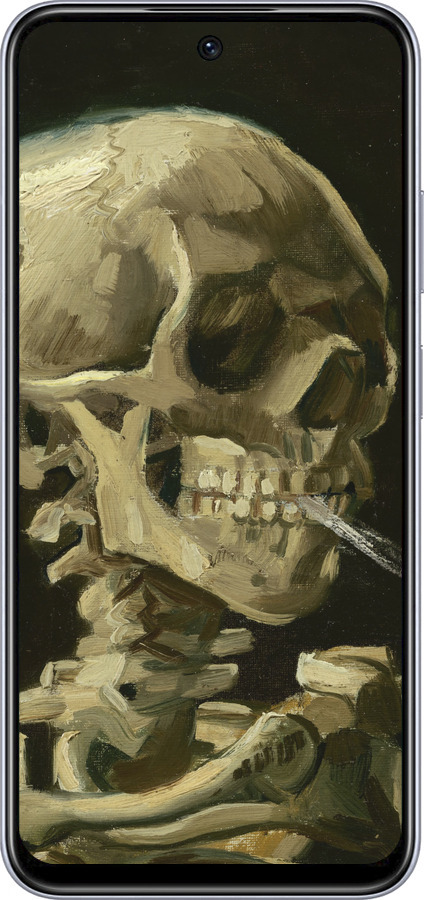 TPU чехол Вінсент Ван Гог. Череп для Infinix Smart 9 - 5544b-3809 изображение 