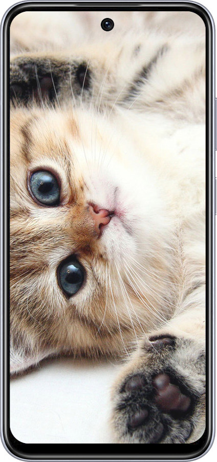 TPU чехол Котик для Infinix Smart 9 - 6024b-3809 изображение 