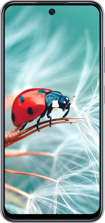 TPU чехол Божья коровка для Infinix Smart 9 - 6049b-3809 изображение 