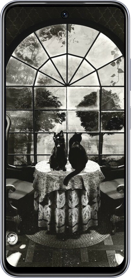 TPU чехол Череп и коты для Infinix Smart 9 - 6432b-3809 изображение 