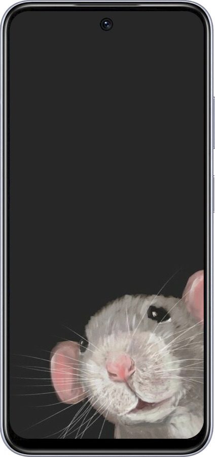 TPU чехол The Peeking Rat для Infinix Smart 9 - 6442b-3809 изображение 