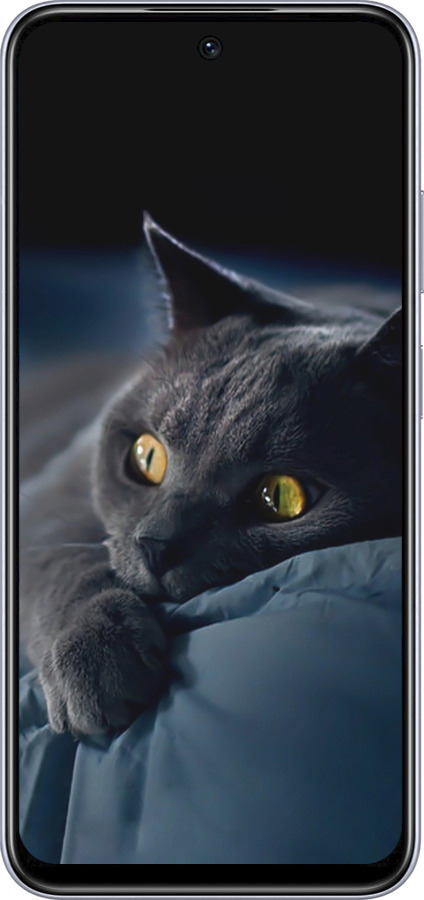 TPU чехол Дымчатый кот для Infinix Smart 9 - 825b-3809 изображение 