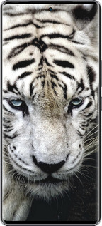 Силиконовый чехол Грустный белый тигр для Infinix Zero 40 5G - 106u-3822 изображение 