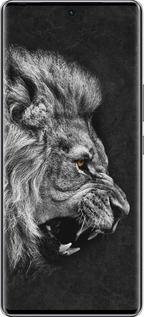 Силиконовый чехол Лев для Infinix Zero 40 5G - 1080u-3822 изображение 