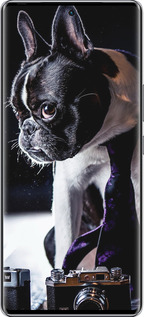 Силиконовый чехол Бульдог-фотограф для Infinix Zero 40 5G - 142u-3822 изображение 