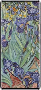 Силіконовий чехол Вінсент Ван Гог. Іриси для Infinix Zero 40 5G - 161u-3822 изображение 