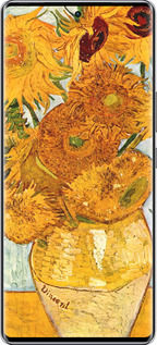 Силиконовый чехол Винсент Ван Гог. Подсолнухи для Infinix Zero 40 5G - 162u-3822 изображение 