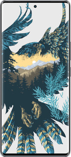 Силиконовый чехол Арт-орел на фоне природы для Infinix Zero 40 5G - 3983u-3822 изображение 