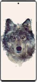 Силиконовый чехол Волк-арт для Infinix Zero 40 5G - 4163u-3822 изображение 