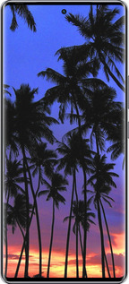 Силіконовий чехол Пальми для Infinix Zero 40 5G - 4324u-3822 изображение 