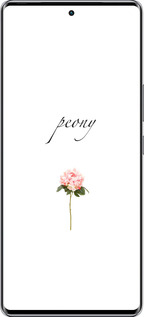 Силиконовый чехол Пион для Infinix Zero 40 5G - 4366u-3822 изображение 