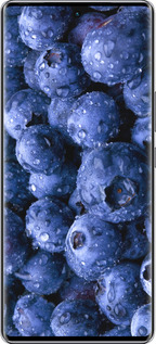 Силиконовый чехол Голубика для Infinix Zero 40 5G - 4459u-3822 изображение 