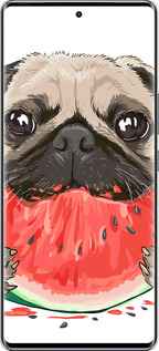 Силиконовый чехол Мопс и арбуз для Infinix Zero 40 5G - 4665u-3822 изображение 