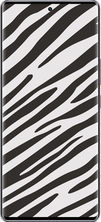 Силиконовый чехол Классическая зебра для Infinix Zero 40 5G - 4874u-3822 изображение 