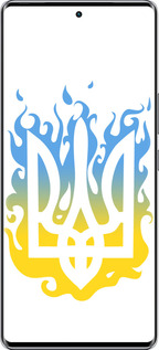 Силиконовый чехол Герб v1 для Infinix Zero 40 5G - 5258u-3822 изображение 