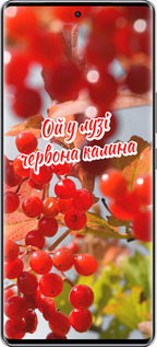 Силиконовый чехол Калина для Infinix Zero 40 5G - 5454u-3822 изображение 