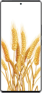 Силиконовый чехол Колоски пшеници для Infinix Zero 40 5G - 5866u-3822 изображение 