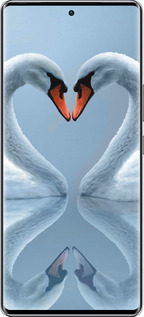 Силиконовый чехол Лебеди для Infinix Zero 40 5G - 6007u-3822 изображение 