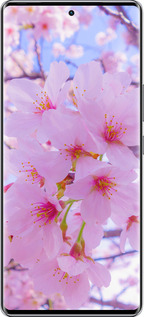 Силиконовый чехол Сакура для Infinix Zero 40 5G - 6029u-3822 изображение 