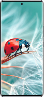 Силиконовый чехол Божья коровка для Infinix Zero 40 5G - 6049u-3822 изображение 